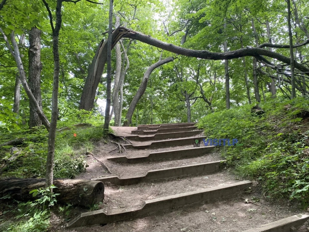 Wooden steps on the Empire Bluff Trail